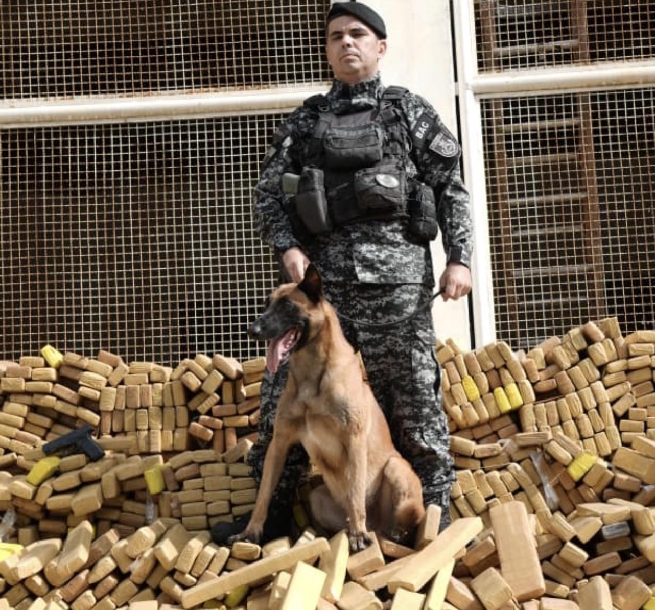 Megaofensiva das Polícias do RJ