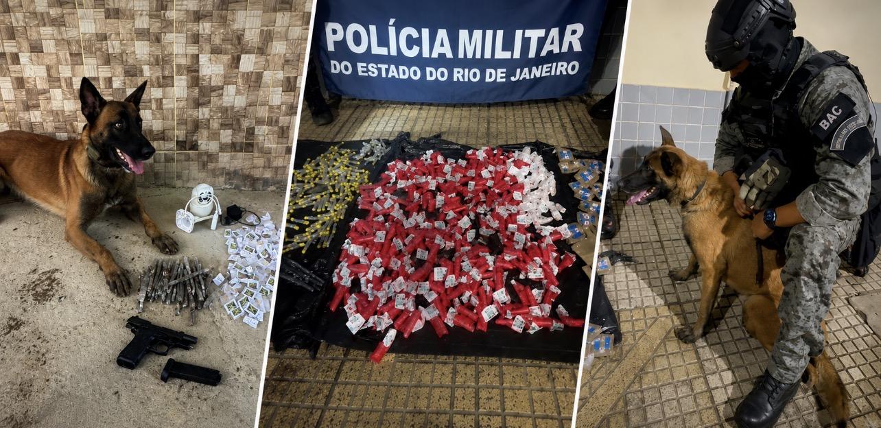 Batalhão com cães em Volta Redonda asfixia o tráfico e traz grandes resultados no Sul Fluminense