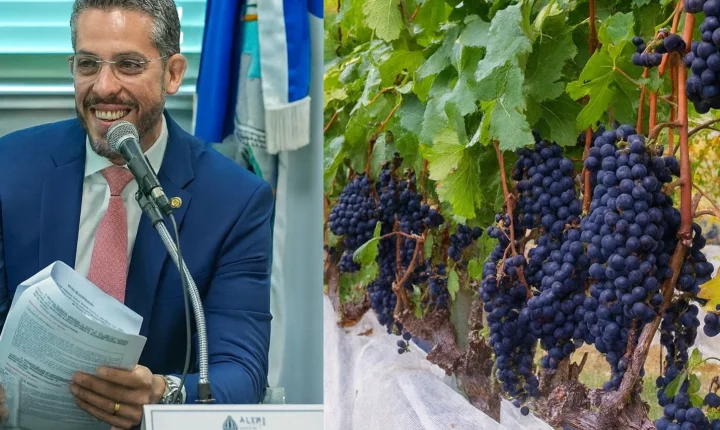 “Serra do Rio”: Vinhos da Região Serrana Fluminense ganham selo oficial e impulso estratégico a partir do PL do dep. Rodrigo Amorim  